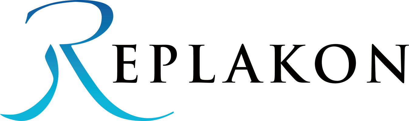 project support services